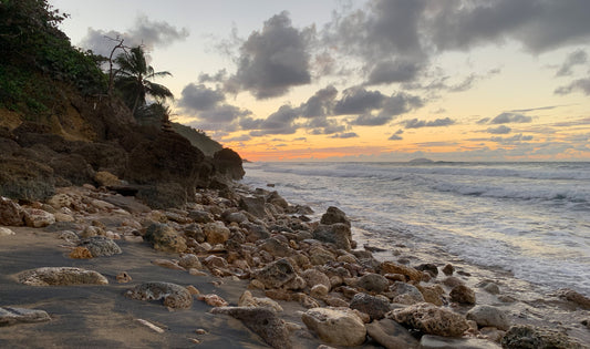Wander. Puerto Rico.