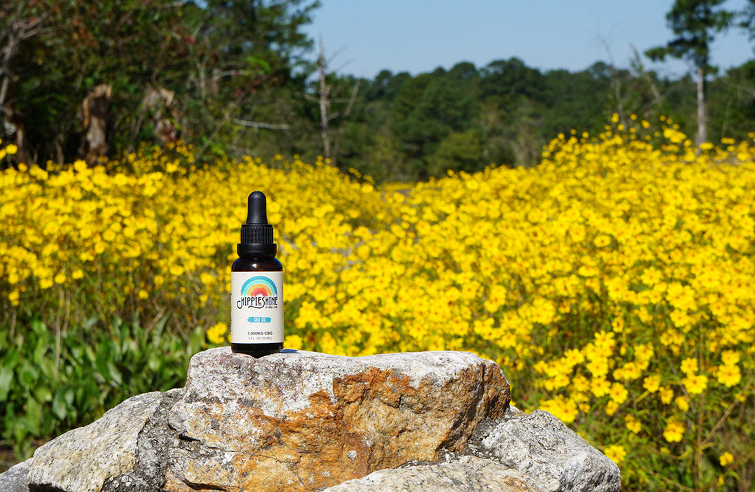 Yes, You Can Take CBD and CBG Together!